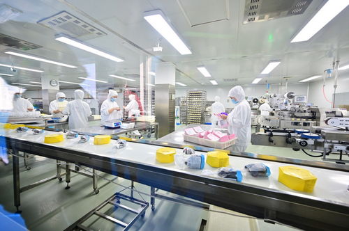 餐桌上的安全衛(wèi)士 走進沈陽綠色工廠，揭秘食品產業(yè)的生產革命